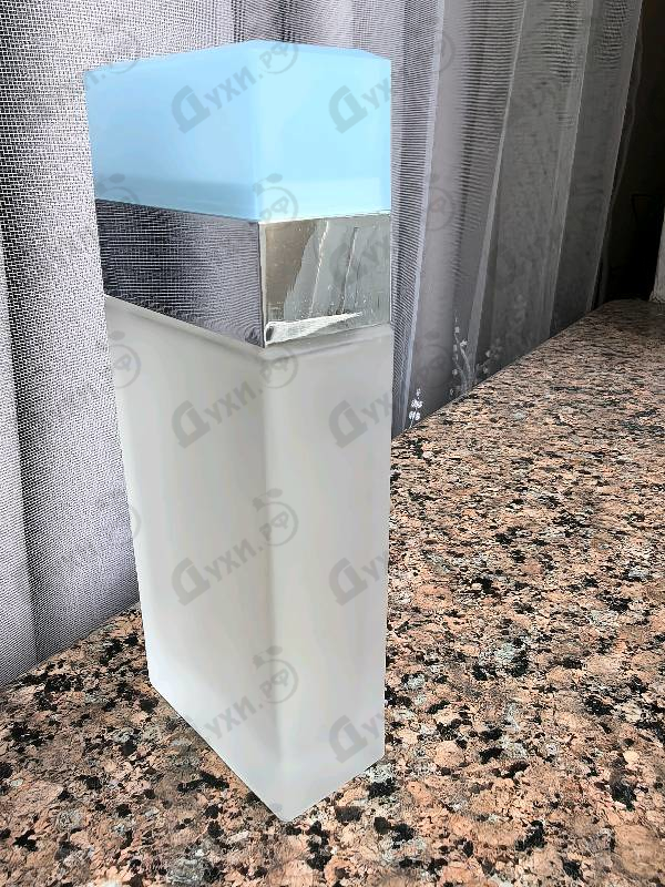 Купить Light Blue от Dolce & Gabbana