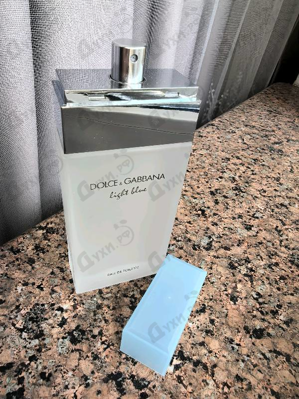 Купить Light Blue от Dolce & Gabbana