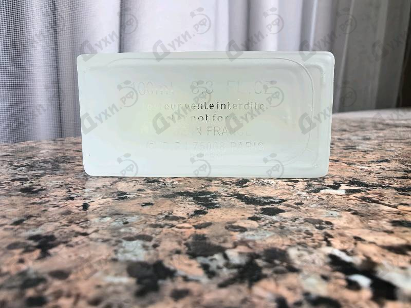 Купить Light Blue от Dolce & Gabbana