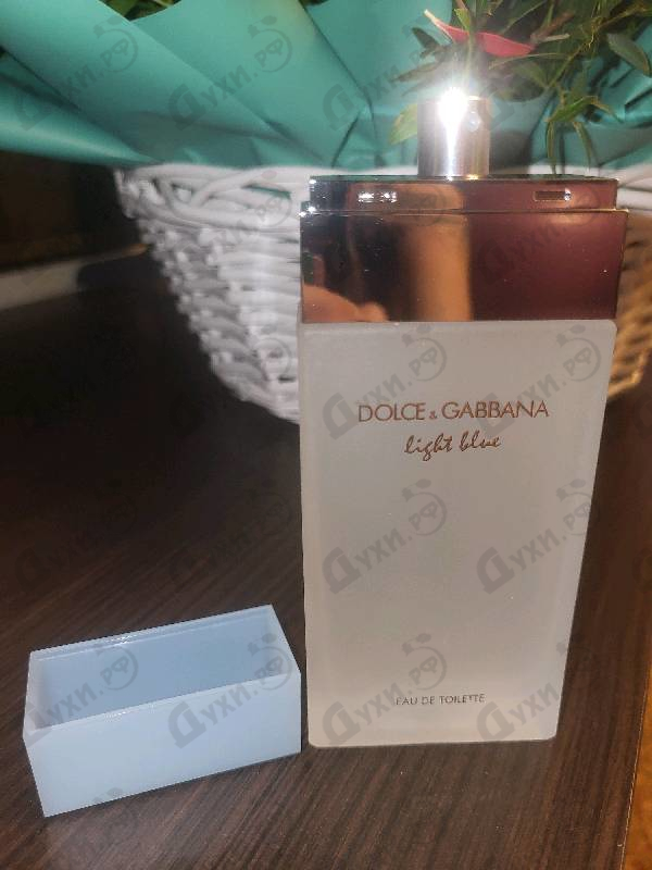 Купить Light Blue от Dolce & Gabbana