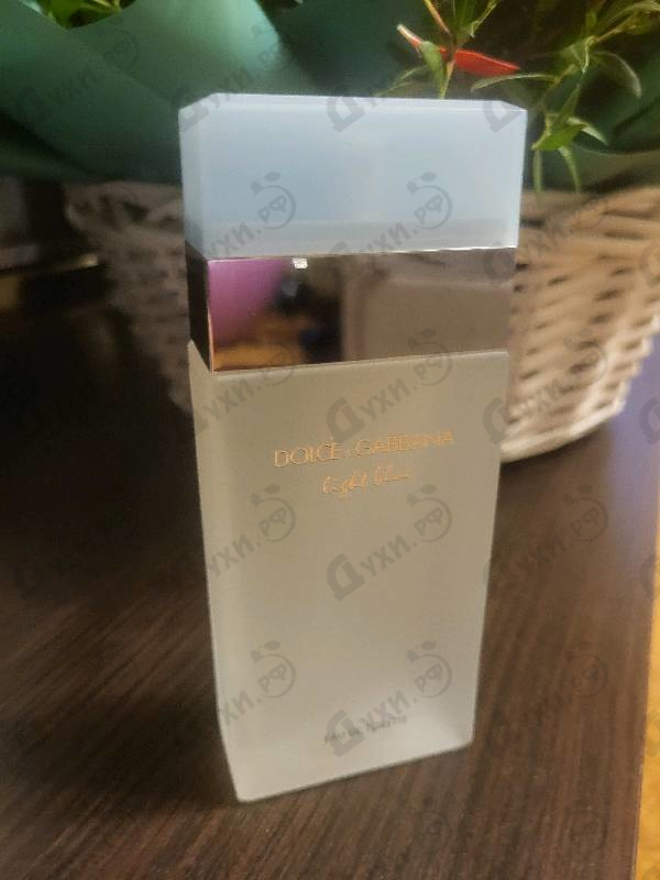 Парфюмерия Light Blue от Dolce & Gabbana