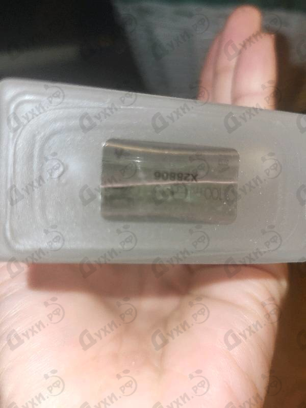 Купить Light Blue от Dolce & Gabbana