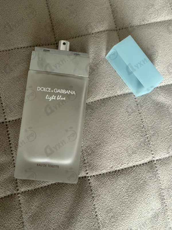 Купить Light Blue от Dolce & Gabbana