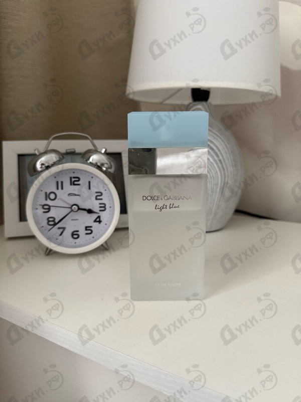 Купить Dolce & Gabbana Light Blue