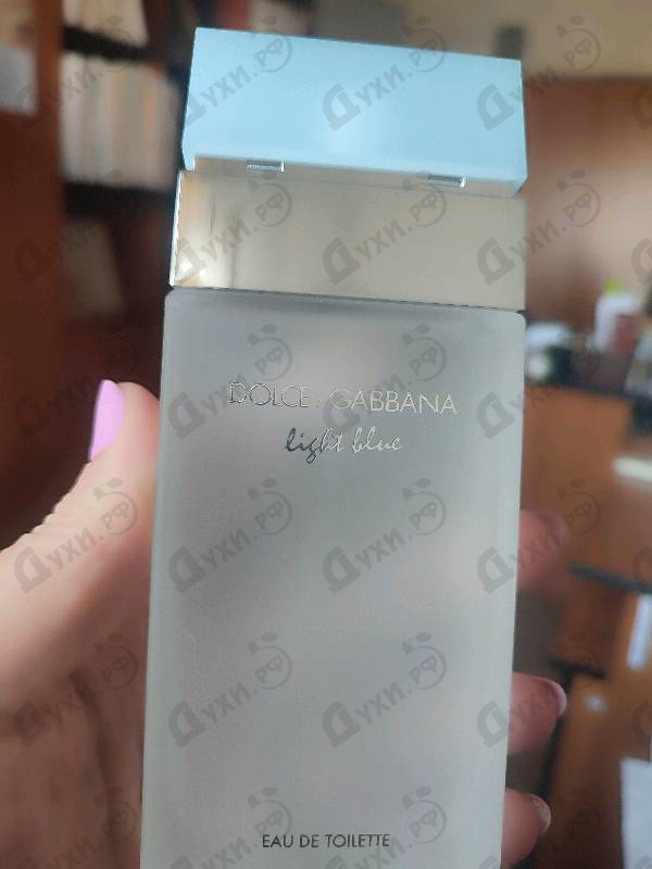 Отзывы Dolce & Gabbana Light Blue