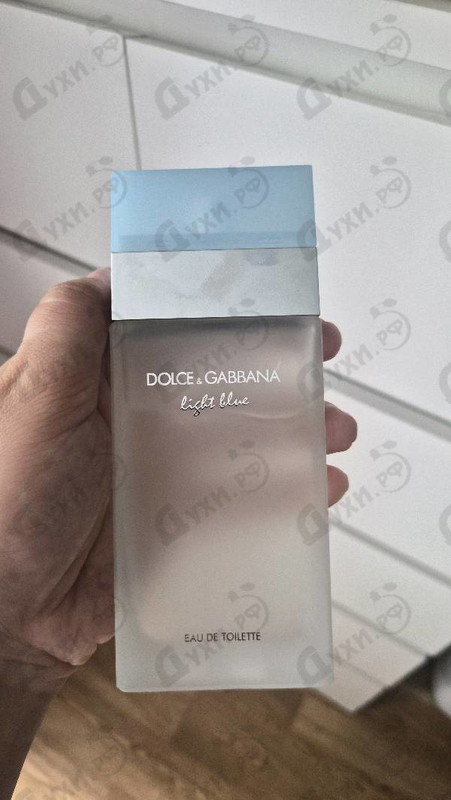 Купить Light Blue от Dolce & Gabbana