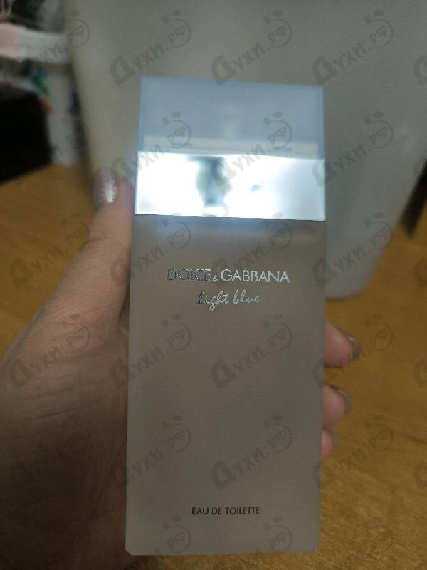 Купить Dolce & Gabbana Light Blue