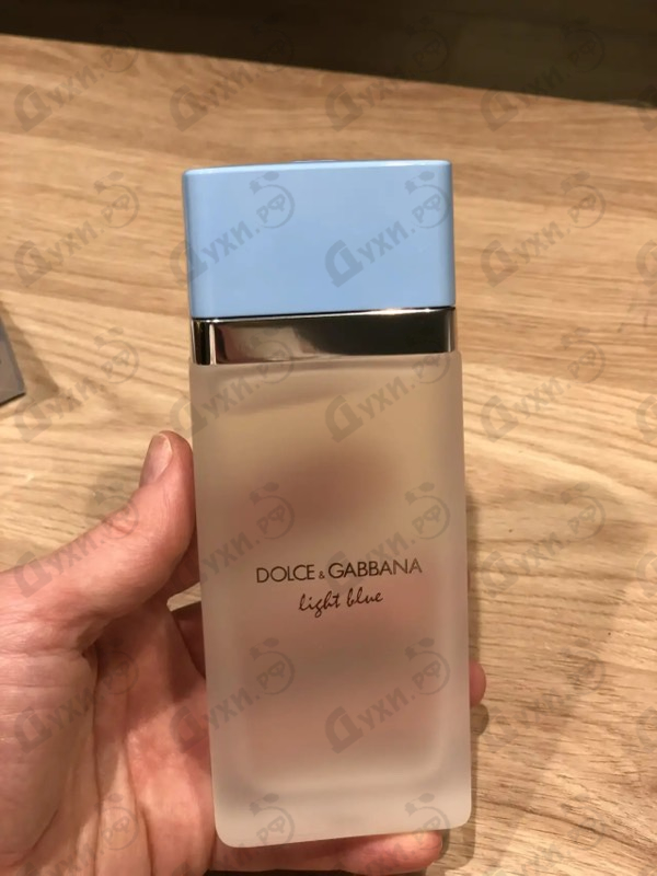 Купить Light Blue от Dolce & Gabbana