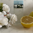 Отзыв Dolce & Gabbana Light Blue