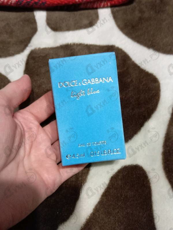 Купить Light Blue от Dolce & Gabbana