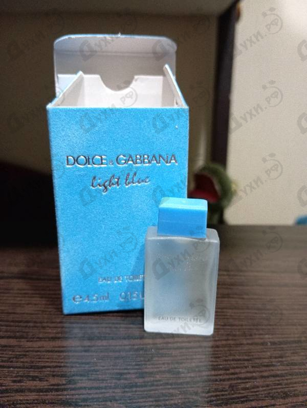 Купить Light Blue от Dolce & Gabbana