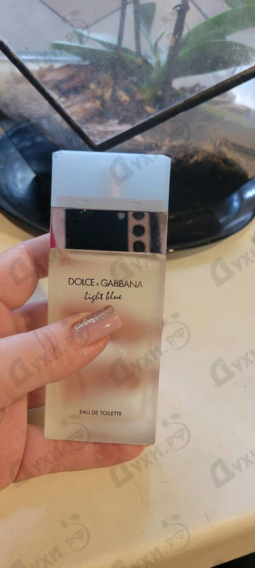 Парфюмерия Dolce & Gabbana Light Blue