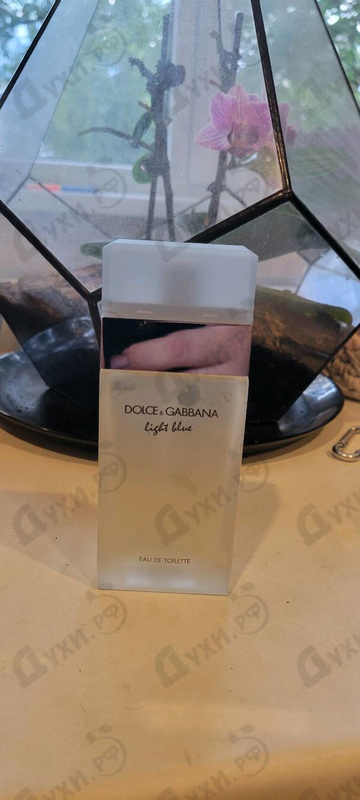Парфюмерия Light Blue от Dolce & Gabbana