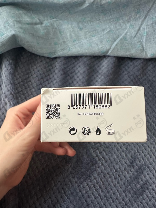 Купить Light Blue от Dolce & Gabbana