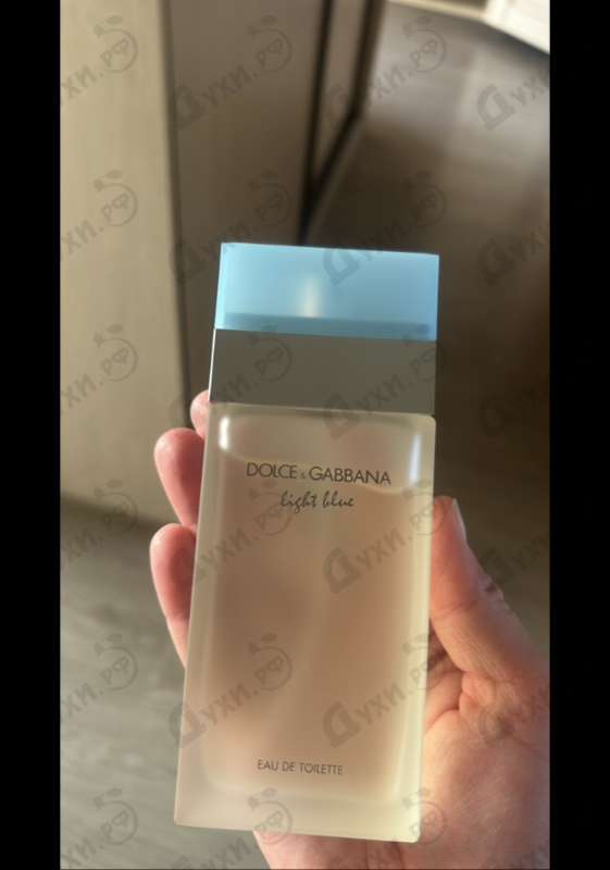 Отзыв Dolce & Gabbana Light Blue