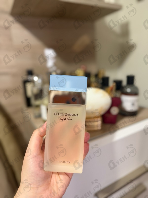 Купить Dolce & Gabbana Light Blue
