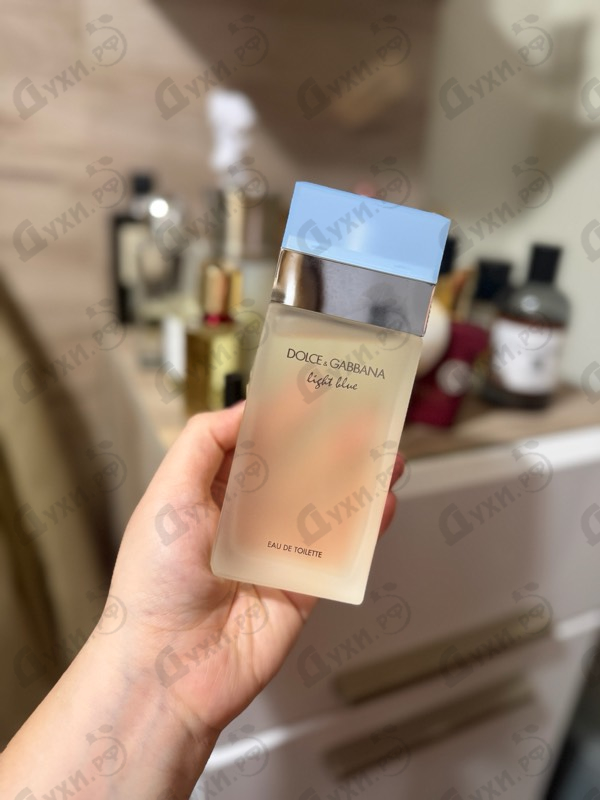 Купить Light Blue от Dolce & Gabbana