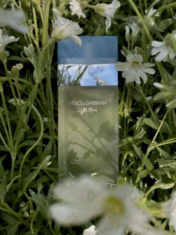 Отзывы Dolce & Gabbana Light Blue