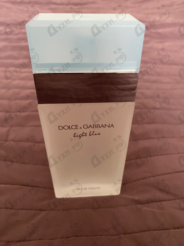 Купить Dolce & Gabbana Light Blue