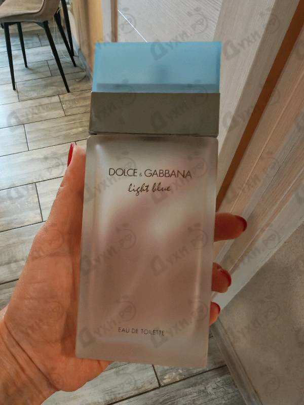 Купить Light Blue от Dolce & Gabbana