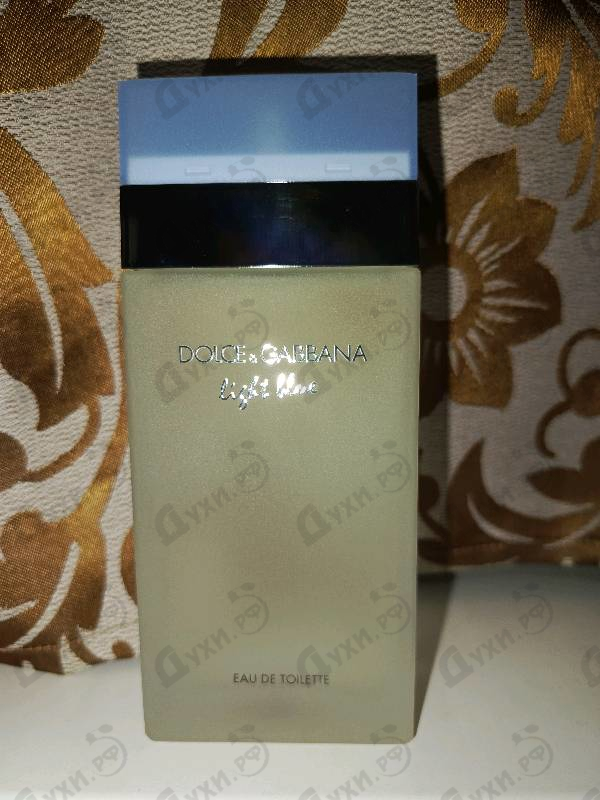 Купить Light Blue от Dolce & Gabbana
