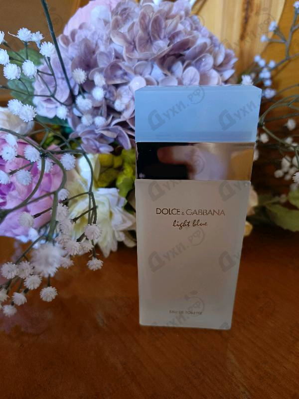 Парфюмерия Dolce & Gabbana Light Blue