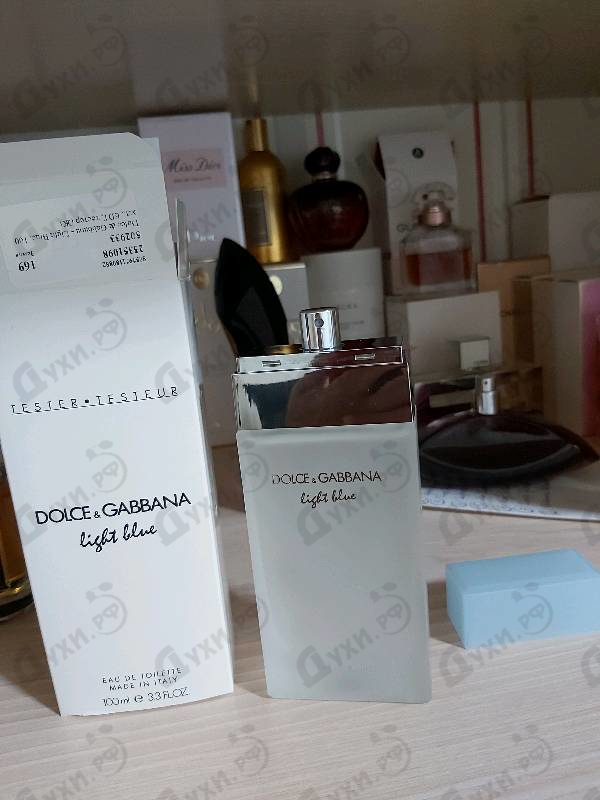 Купить Light Blue от Dolce & Gabbana