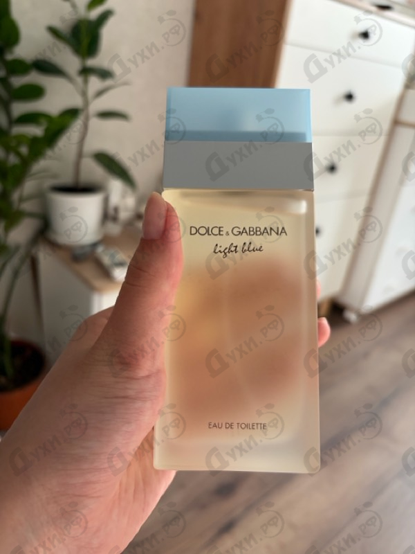Парфюмерия Dolce & Gabbana Light Blue