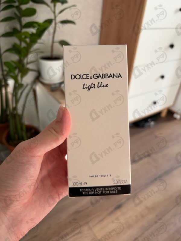 Парфюмерия Dolce & Gabbana Light Blue