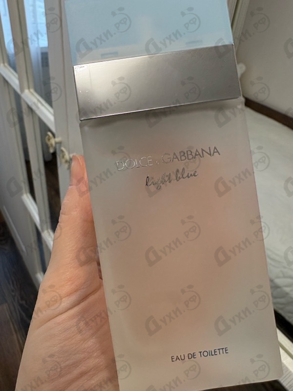 Купить Light Blue от Dolce & Gabbana