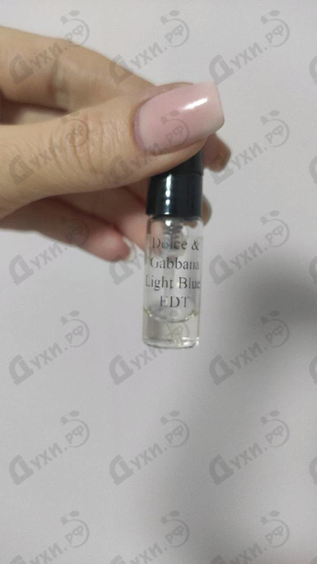 Отзывы Dolce & Gabbana Light Blue