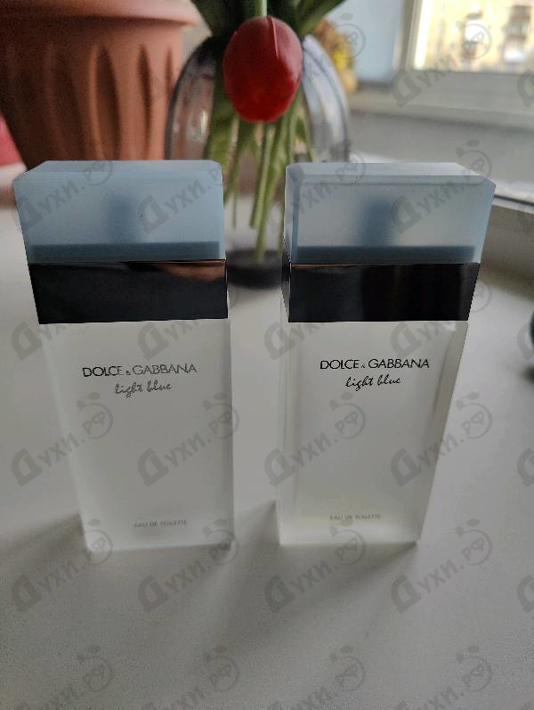 Купить Light Blue от Dolce & Gabbana