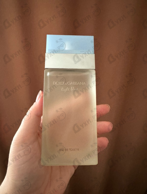 Купить Dolce & Gabbana Light Blue