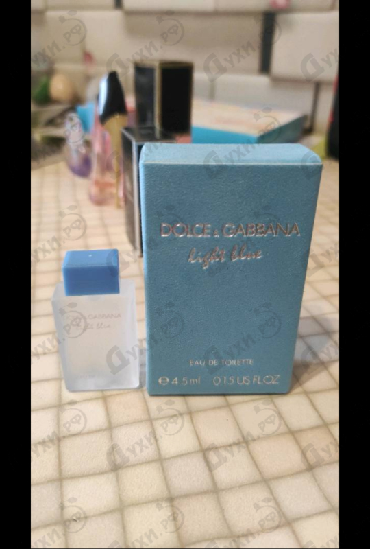Купить Light Blue от Dolce & Gabbana