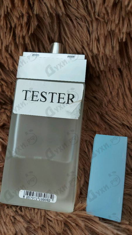 Купить Dolce & Gabbana Light Blue