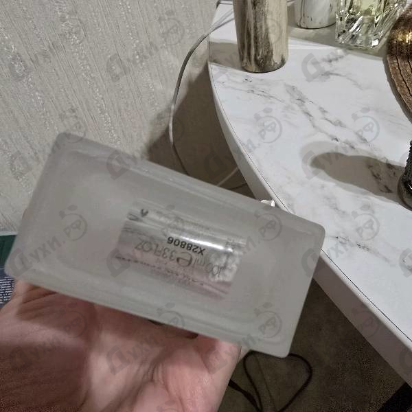 Купить Light Blue от Dolce & Gabbana