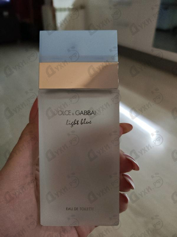 Купить Light Blue от Dolce & Gabbana