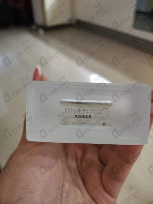 Парфюмерия Light Blue от Dolce & Gabbana