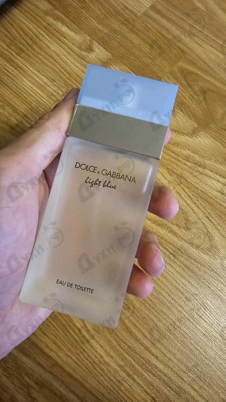 Купить Dolce & Gabbana Light Blue