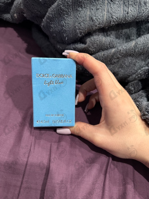 Купить Dolce & Gabbana Light Blue