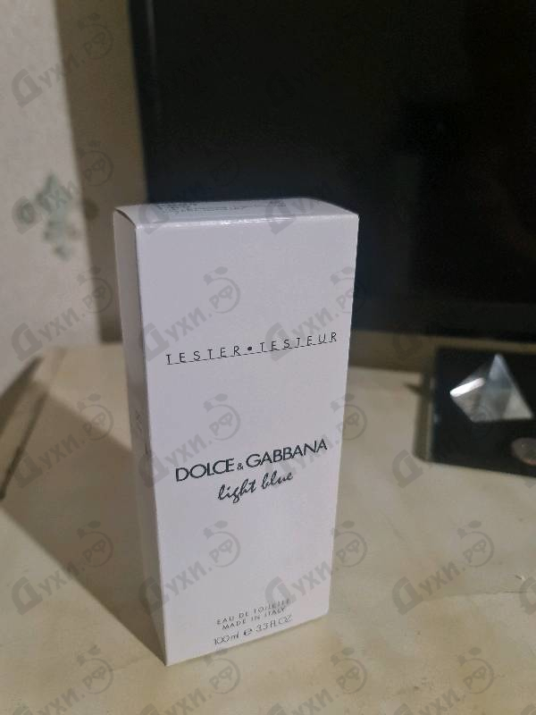 Купить Light Blue от Dolce & Gabbana