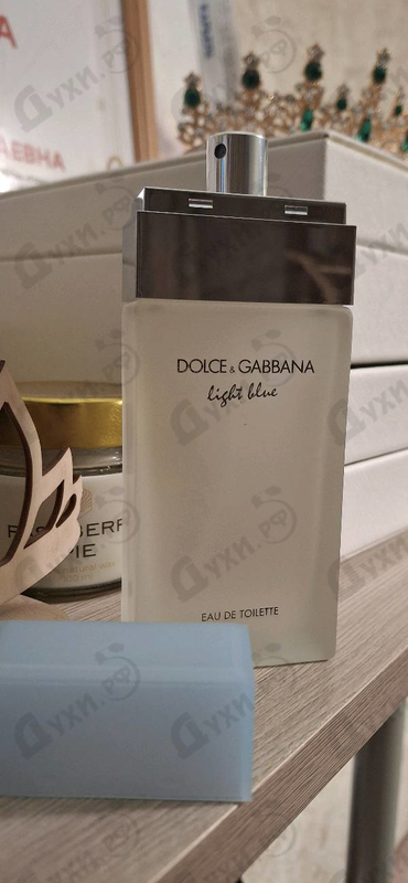 Купить Light Blue от Dolce & Gabbana