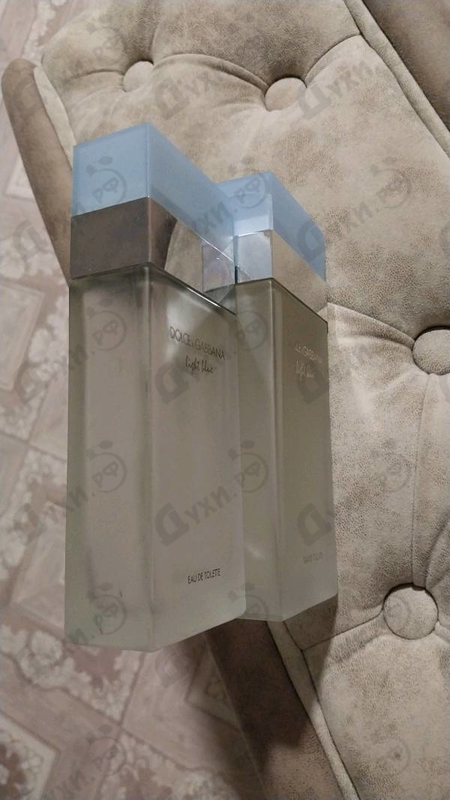 Купить Light Blue от Dolce & Gabbana