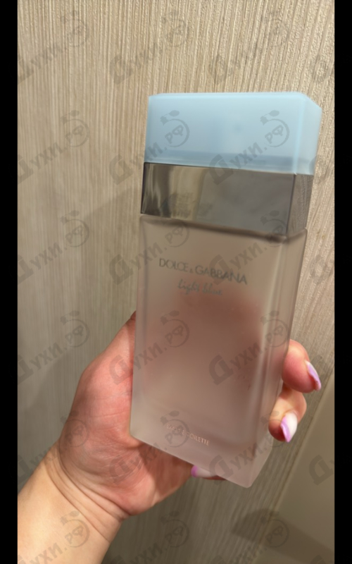 Парфюмерия Light Blue от Dolce & Gabbana