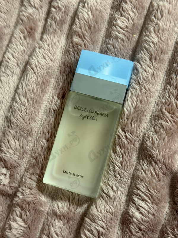 Отзыв Dolce & Gabbana Light Blue