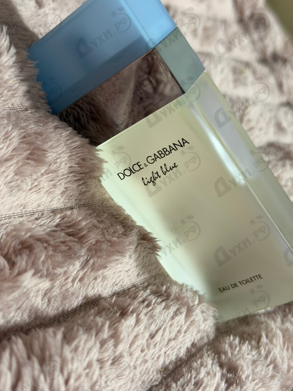 Парфюмерия Dolce & Gabbana Light Blue
