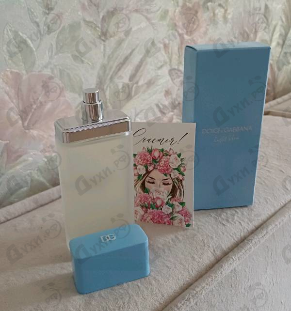Купить Light Blue от Dolce & Gabbana