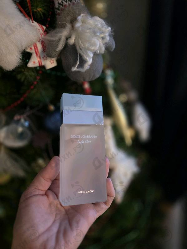 Отзывы Dolce & Gabbana Light Blue