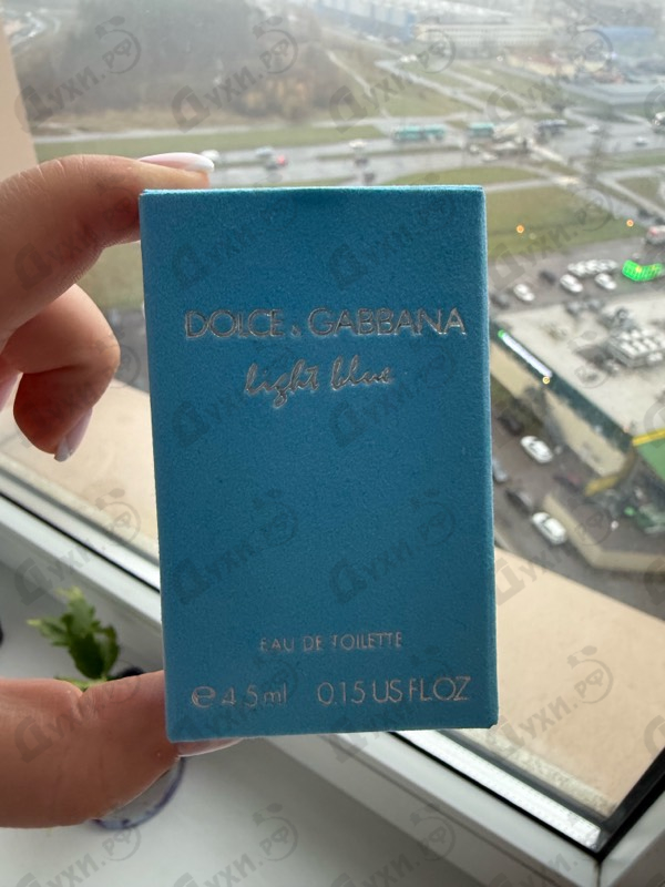 Купить Light Blue от Dolce & Gabbana