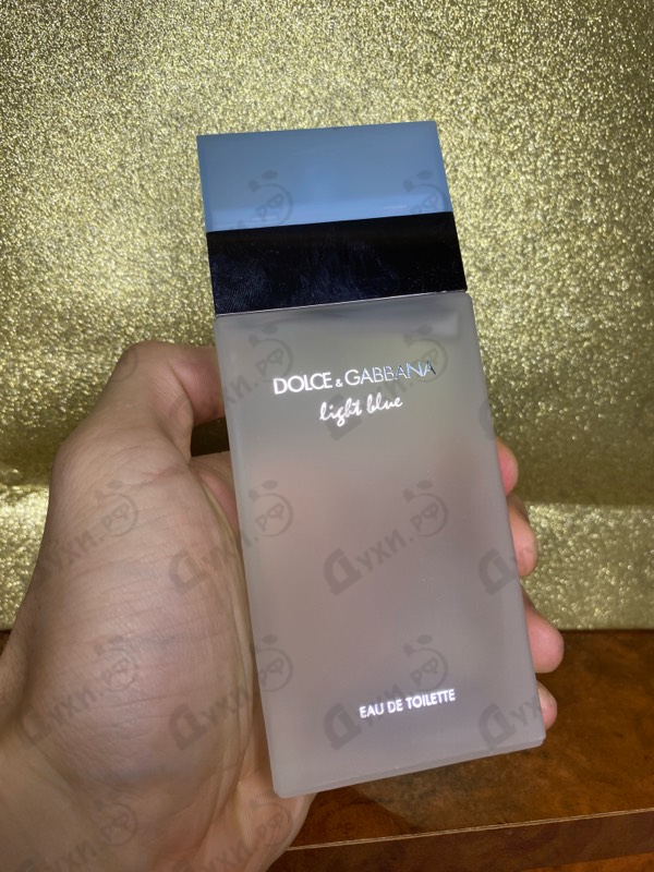 Купить Light Blue от Dolce & Gabbana